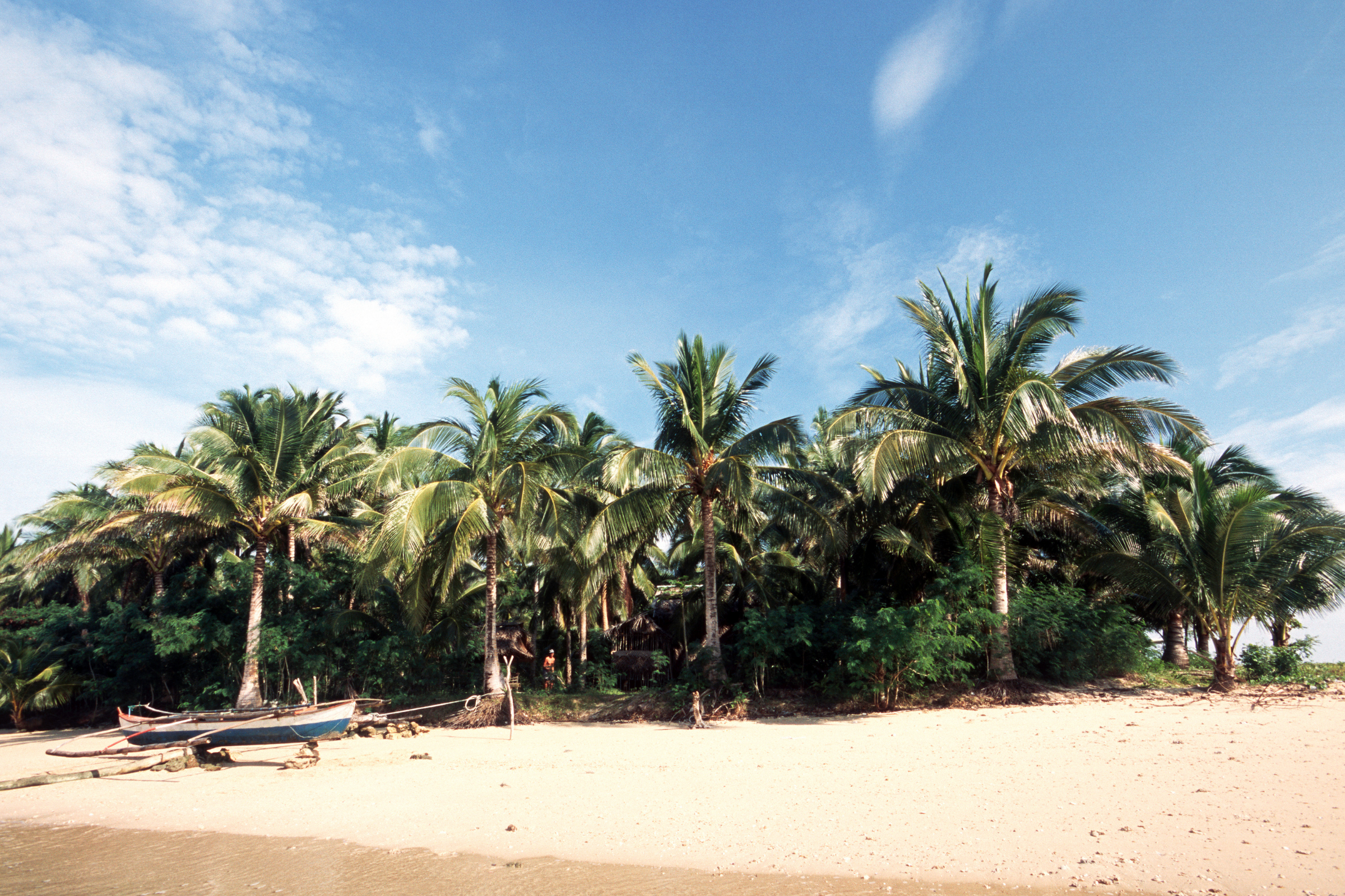 samar island natural park (3).webp